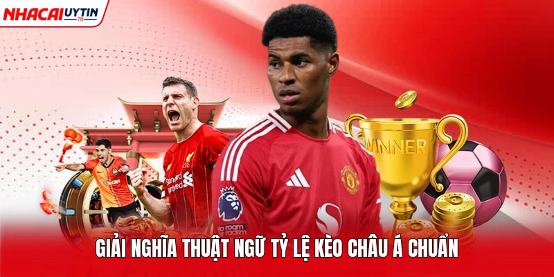 Giải nghĩa thuật ngữ tỷ lệ kèo Châu Á chuẩn